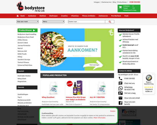 Bodystore Logo