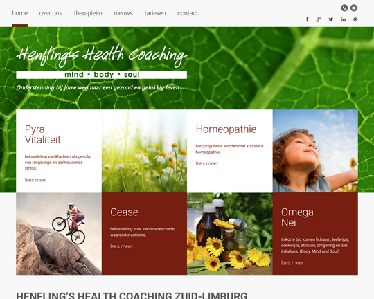 Henflings Health Coaching Logo