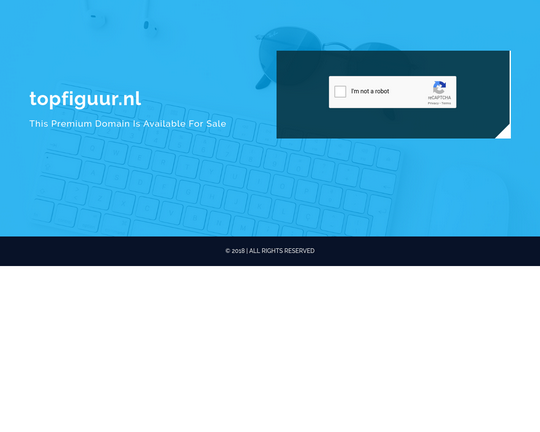 TopFiguur.nl Logo
